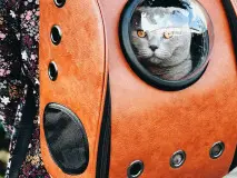 Unleash the Power of Backpack Blessings: Everyday Tags for an Abundant Journey