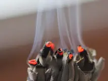 Unveiling the Abundance: Exploring Spiritual Blessings in Heavenly Places