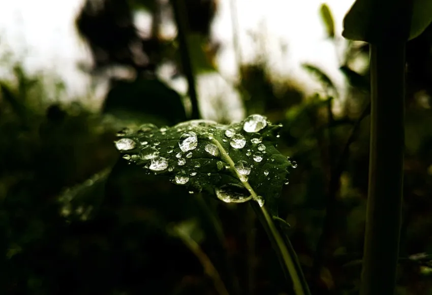 Blessings Abound: Embrace the Best Friday Vibes with our Inspiring Collection of Blessings