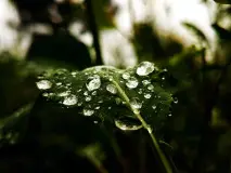 Blessings Abound: Embrace the Best Friday Vibes with our Inspiring Collection of Blessings