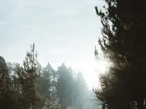 Unlock the Power of Monday Morning Prayers for a Blessed Week Ahead