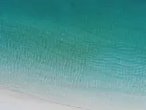 Beach Blessings: Discover the Serenity and Abundance at the Shore