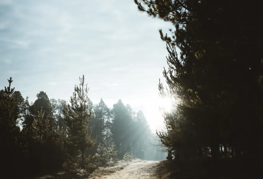 Unlock the Power of Monday Morning Prayers for a Blessed Week Ahead