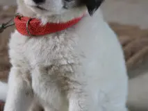 Unlock the Inspiring Lyrics of K Camp's 'Blessing': Exploring the Essence of Blessings Unleashed