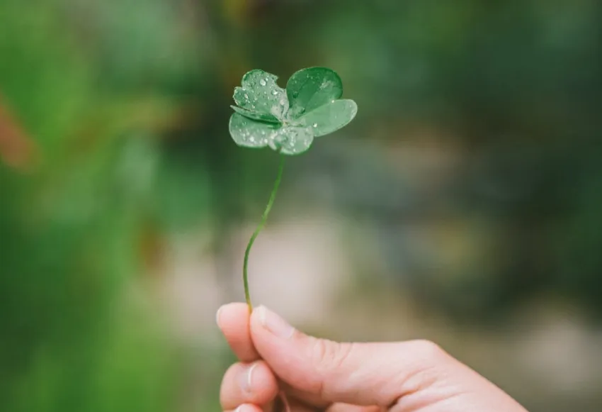 Blessings for a Joyful Irish Retirement: Embrace the Magic of Life's Next Chapter