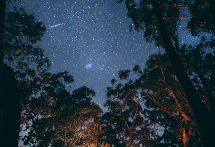 99+ Romantic Good Night Text For Long Distance Relationships