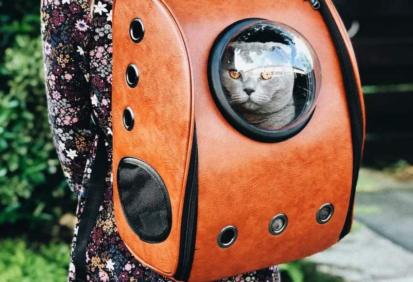 Unleash the Power of Backpack Blessings: Everyday Tags for an Abundant Journey