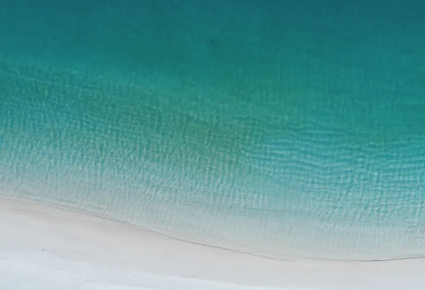 Beach Blessings: Discover the Serenity and Abundance at the Shore