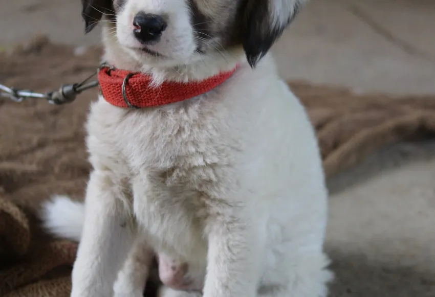 Unlock the Inspiring Lyrics of K Camp's 'Blessing': Exploring the Essence of Blessings Unleashed