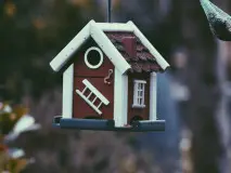 The Ultimate Guide to House Blessings: Unlock Happiness and Positive Energy in Your Home